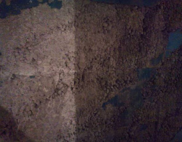 گالری عکس